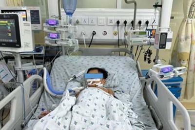 Ăn thịt chuột nhiều ngày, 3 chị em ngộ độc siêu warfarin