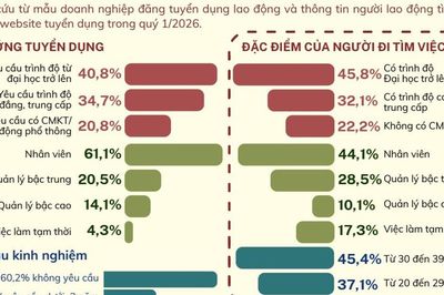 Lao động từ 30-39 tuổi chiếm 45,4% tổng số người tìm việc
