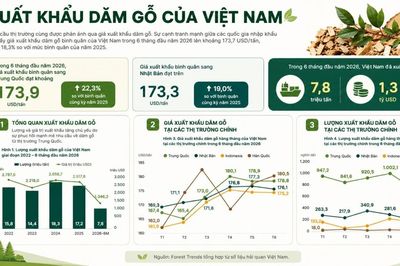 Xuất khẩu gỗ chậm lại, dăm gỗ và viên nén trở thành động lực tăng trưởng