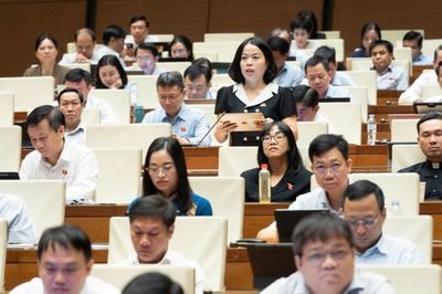 Đại biểu Quốc hội: Địa phương cũng mong có chính sách đặc thù để đẩy nhanh dự án