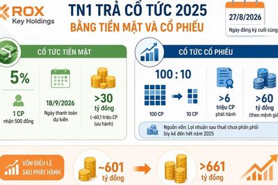 ROX Key Holdings sắp trả cổ tức, vốn điều lệ dự kiến vượt 661 tỷ đồng