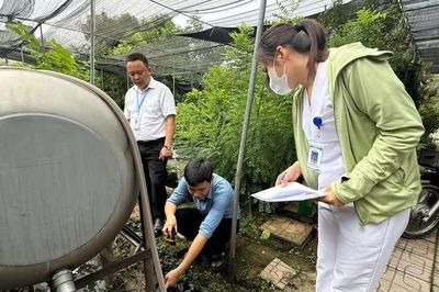 Hà Nội: Bệnh nhân sốt xuất huyết ghi nhận tại 115/126 xã, phường