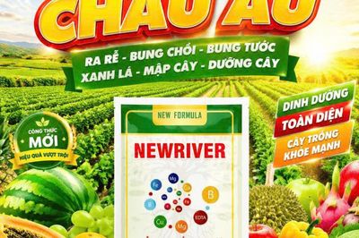 Nhà máy icrop đưa dòng phân bón nhập khẩu tiêu chuẩn xuất khẩu về thị trường trong nước
