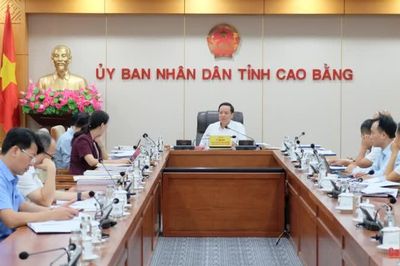 Ban Thường vụ Đảng ủy UBND tỉnh cho ý kiến nhiều nội dung quan trọng về phát triển kinh tế - xã hội