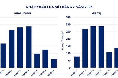 Lực bán áp đảo, giá lúa mì và cà phê Robusta đồng loạt giảm