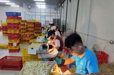 Thí điểm mô hình xã phường xã hội chủ nghĩa: Doanh nghiệp và chính quyền đồng hành kiến tạo phát triển