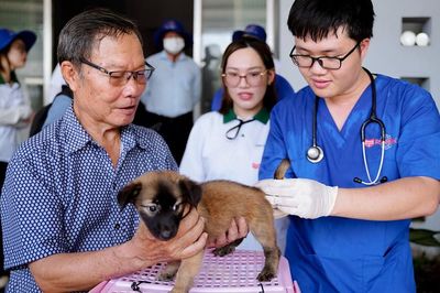 Hà Nội mở rộng điểm tiêm vắc xin dại đến tận xã, phường, hỗ trợ kinh phí điều trị cho người dân sau phơi nhiễm bệnh dại