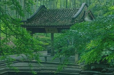 Tháng sinh Âm lịch của người có 'cái đầu lạnh': Gặp biến cố vẫn bình tĩnh biến nguy thành an