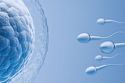 Cách nhận biết tinh trùng có khỏe mạnh hay không