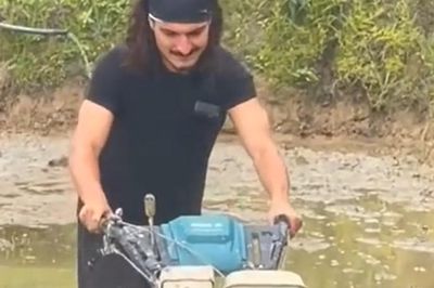 Lên Tà Xùa săn mây, khách Tây khiến dân mạng ngỡ ngàng với kỹ năng làm ruộng