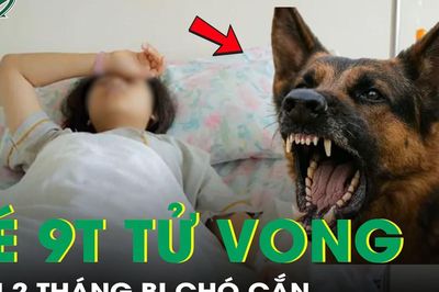 Bé gái 9 tuổi tử vong vì bệnh dại sau hơn 2 tháng bị chó cắn vào gót chân