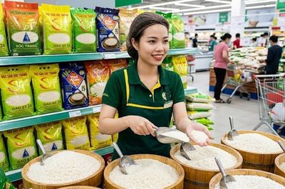 Giá lúa gạo hôm nay 13.8.2026: IR 504 giữ đà tăng