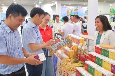 Quảng Ngãi tổ chức chuỗi sự kiện lớn, mở rộng cơ hội hợp tác, đầu tư và phát triển du lịch