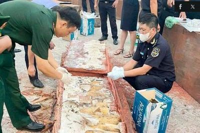 Gần 1,2 tấn ngà voi: Người tiêu dùng và trách nhiệm với động vật hoang dã