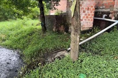 Trang trại heo bị phản ánh ô nhiễm: Kiểm tra phát hiện nhiều tồn tại