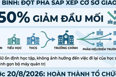 Khẩn trương sắp xếp, sáp nhập trường học; bổ nhiệm hiệu trưởng; bố trí giáo viên, nhân sự hỗ trợ giáo dục