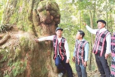 Phát triển kinh tế dưới những tán rừng