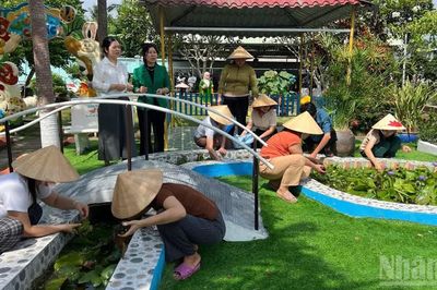 Tinh gọn trường học ở Đồng Tháp