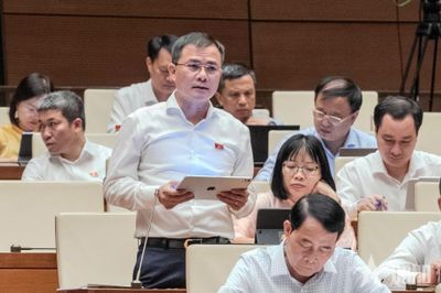 Đại biểu Quốc hội: Phân bổ tần số đúng thời điểm để biến tài nguyên thành năng lực phát triển