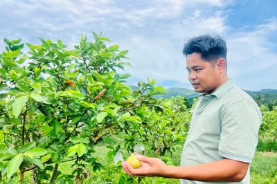 Hồi sinh đất cằn bằng cây ổi