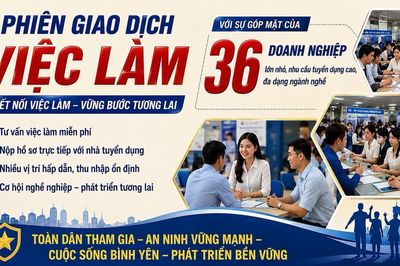 Kết nối cơ hội việc làm cho người lao động