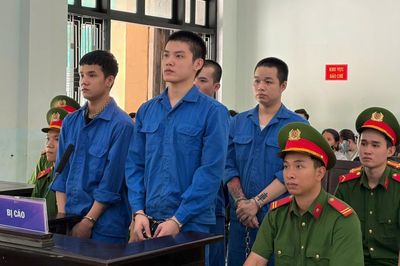 Lôi kéo bạn bè bán ma túy, nam thanh niên lĩnh án 29 năm tù