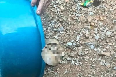 Xác minh vật thể nghi là sọ người tại Tuyên Quang