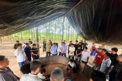 Sới đá gà 'nhóm họp định kỳ' giữa vườn cao su ở Tây Ninh