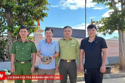 Người dân tự nguyện giao nộp cá thể tê tê Java quý hiếm