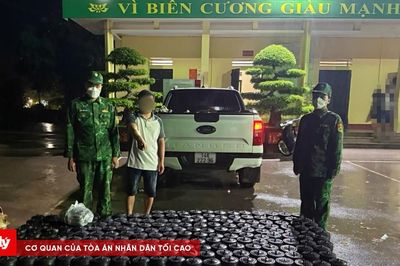 Thủ đoạn tinh vi đưa ' khí cười ' qua biên giới: Xé lẻ, giấu hàng, đổi đường