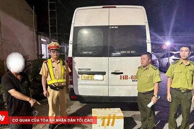 Phát hiện 3 cá thể cầy vòi hương giấu trong thùng xốp