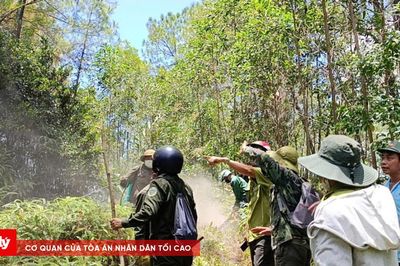 150 người khẩn trương dập cháy rừng ở Huế
