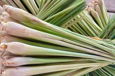 Dùng sả hằng ngày mang lại nhiều lợi ích nhưng 3 nhóm người cần hạn chế