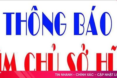 Tìm chủ nhân 31 xe mô tô từng bị tạm giữ ở Thạch Hà