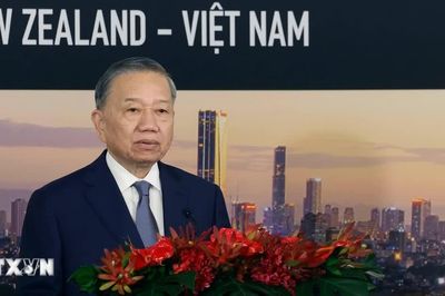 Tổng Bí thư, Chủ tịch nước dự Hội nghị bàn tròn doanh nghiệp Việt Nam-New Zealand