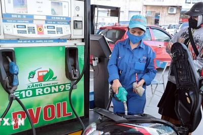 Giá xăng dầu tiếp tục giảm, E10RON95-III xuống còn 22.119 đồng mỗi lít