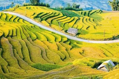 Lào Cai tổ chức Lễ hội mùa Thu năm 2026 với chủ đề 'Y Tý-Sức hút Đại ngàn'