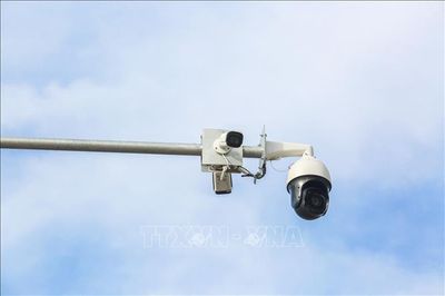 Xử phạt chủ xe ô tô gần 500 triệu đồng do vi phạm giao thông gần 100 lỗi