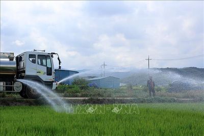 Nắng nóng hiếm gặp bao trùm châu Á, khoai tây 'chín nhừ' trong đất