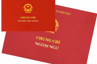 Đại học Huế rà soát việc sử dụng chứng chỉ ngoại ngữ trong xét tuyển chính quy