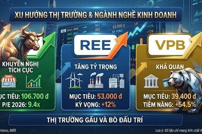 Nhận định cổ phiếu MWG, REE, VPB: Khuyến nghị và giá mục tiêu