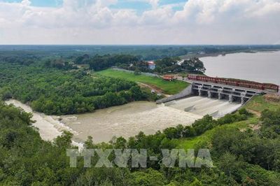 Hồ Dầu Tiếng trước áp lực kép: Chống lũ, giữ nguồn nước