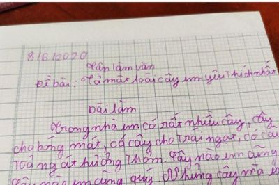 Làm bài văn tả loài cây thích nhất, em học sinh nhắc đến cái tên ai cũng thích