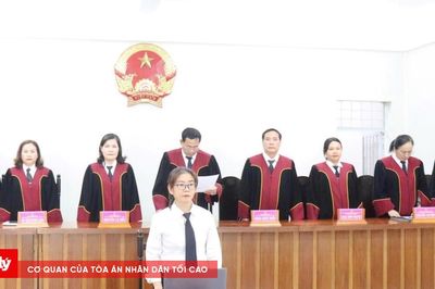 TAND tỉnh Cà Mau mở 4 phiên tòa giám đốc thẩm, tái thẩm
