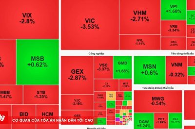 Chứng khoán ngày 13/8: VN-Index lao dốc cuối phiên, VIC trở thành 'gánh nặng' lớn nhất của thị trường