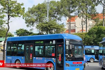 Gần 12 triệu lượt hành khách đi xe buýt miễn phí ở TP.HCM
