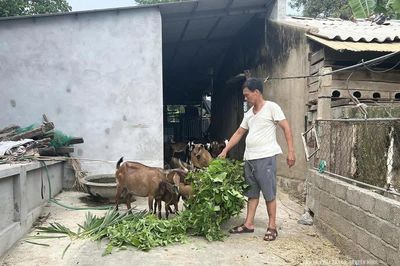 Người thương binh gieo nghị lực làm giàu