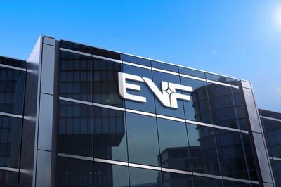 Đại hội bất thường EVF: Phương án phát hành riêng lẻ 85 triệu cp, bầu thêm nhân sự nhóm Amber Capital vào HĐQT