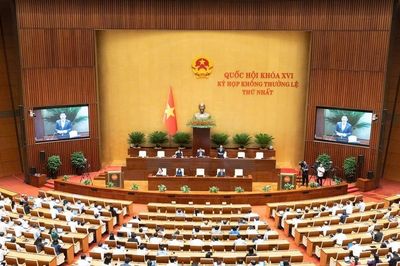 Cắt giảm thủ tục trong lĩnh vực nông nghiệp và môi trường: Gắn phân cấp với hậu kiểm