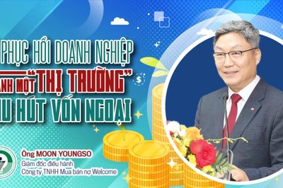Để phục hồi doanh nghiệp thành một 'thị trường' thu hút vốn ngoại